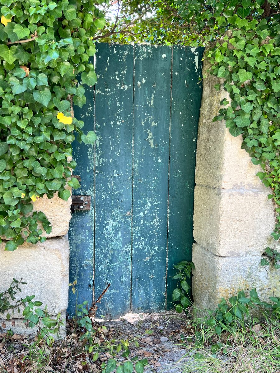 Ivied green door, Villeneuve