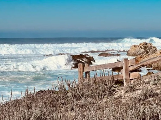 Waves at Asilomar