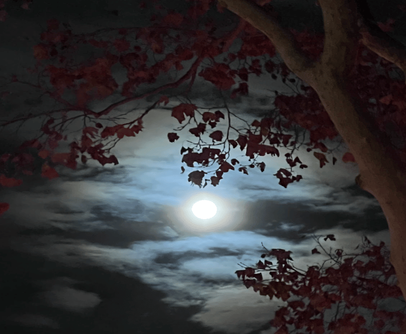 The moon in a darkening sky